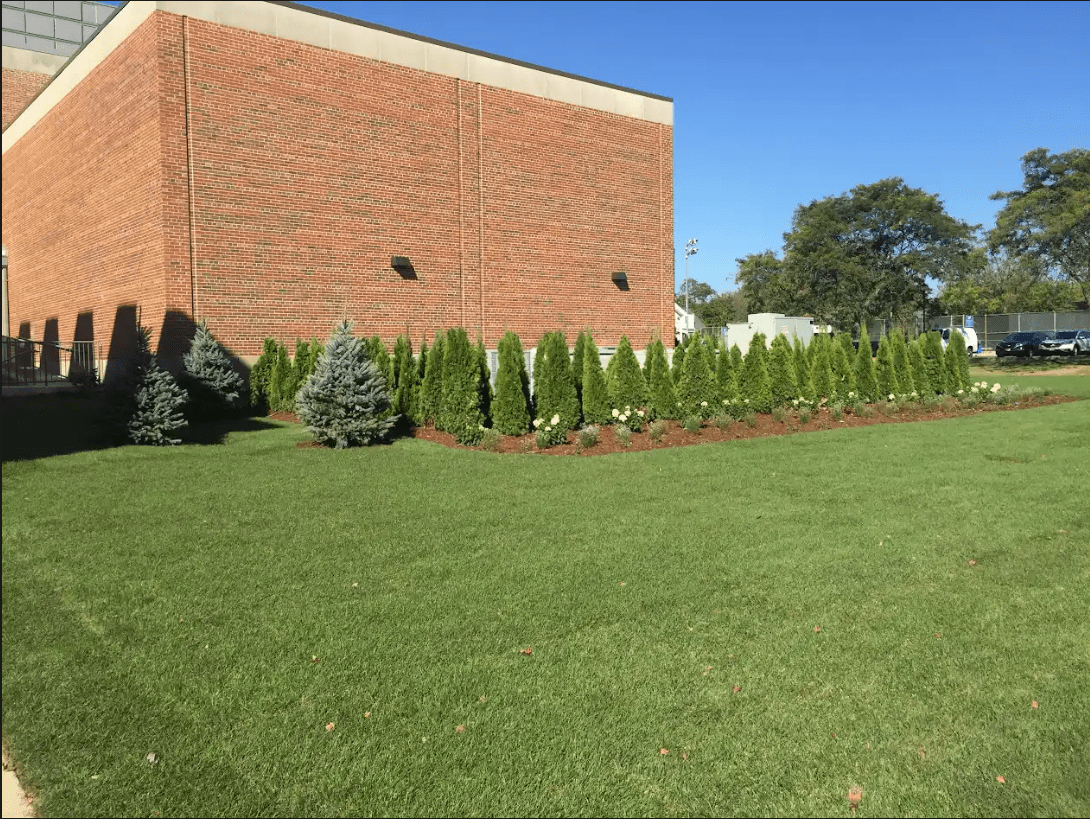 Wheaton College Campus Landscaping