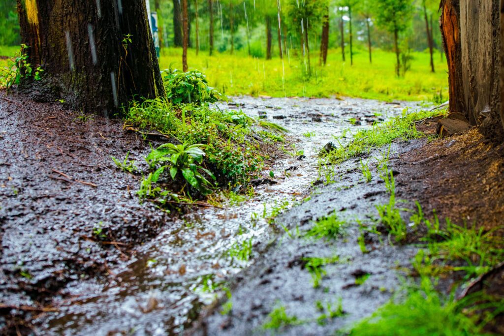 Natural water drainage