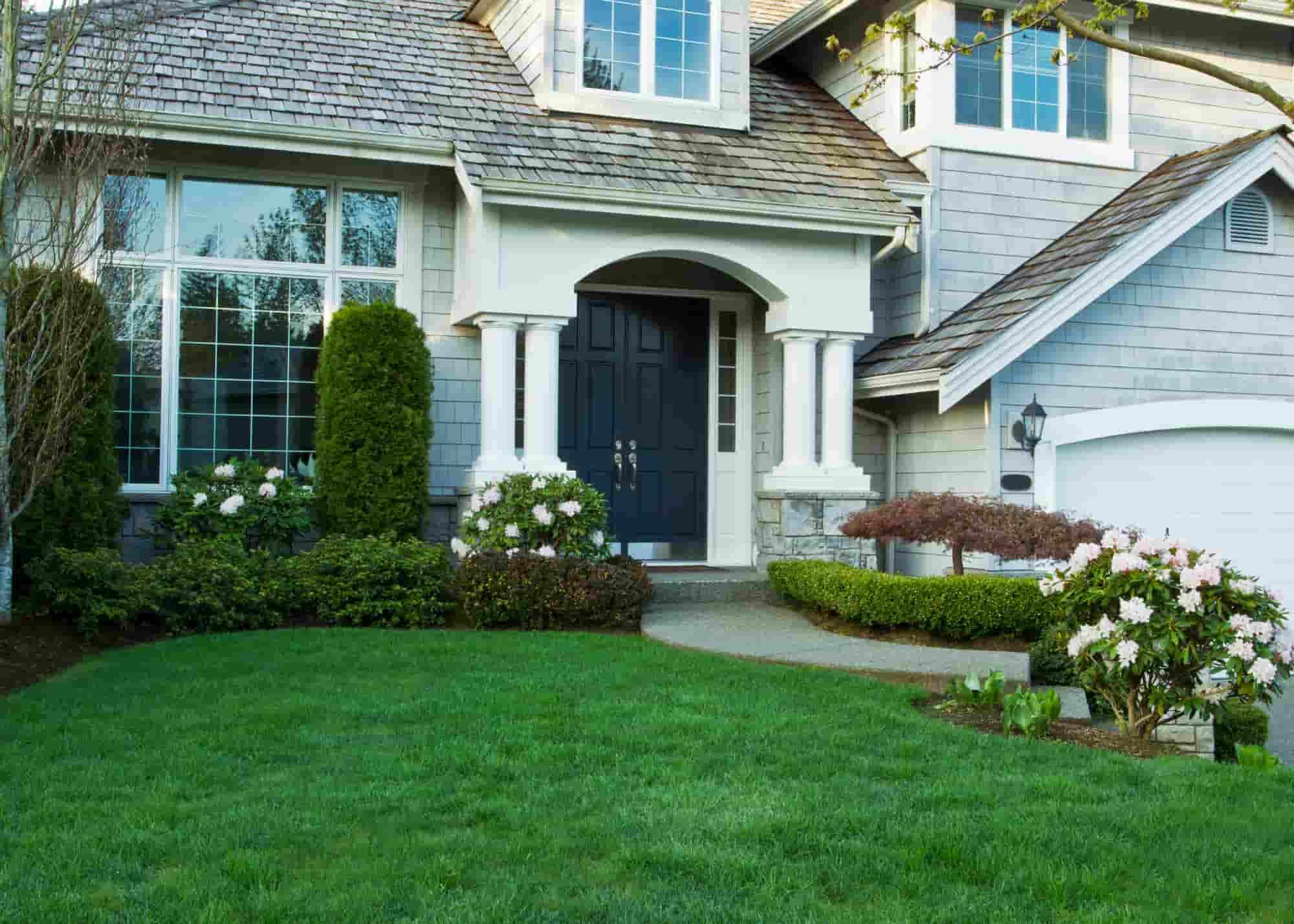 A well-designed yard drainage system can result in a vibrant, flourishing lawn.