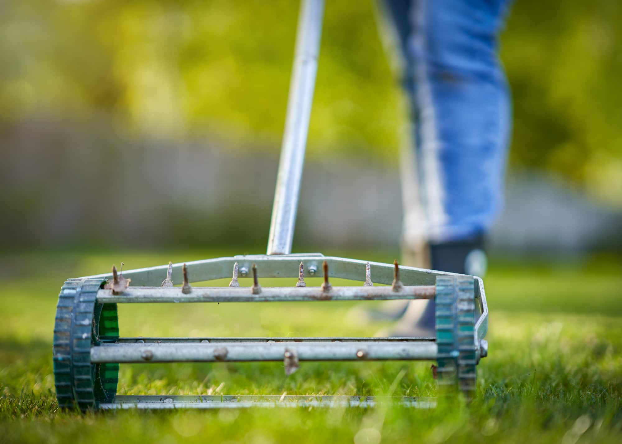 Lawn aeration involves mechanically perforating the lawn with small holes to help the soil breathe.