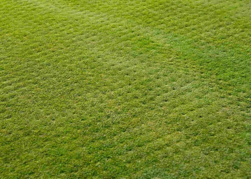 Fall aeration would benefit your lawn if you have cool-season grasses.