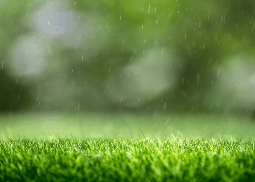 Overwatering grass can lead to a range of expensive problems for property owners.