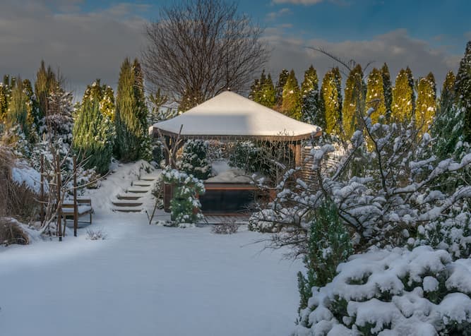 Winter-proof your garden with tips to preserve flowers, vegetables, and trees during the cold months.