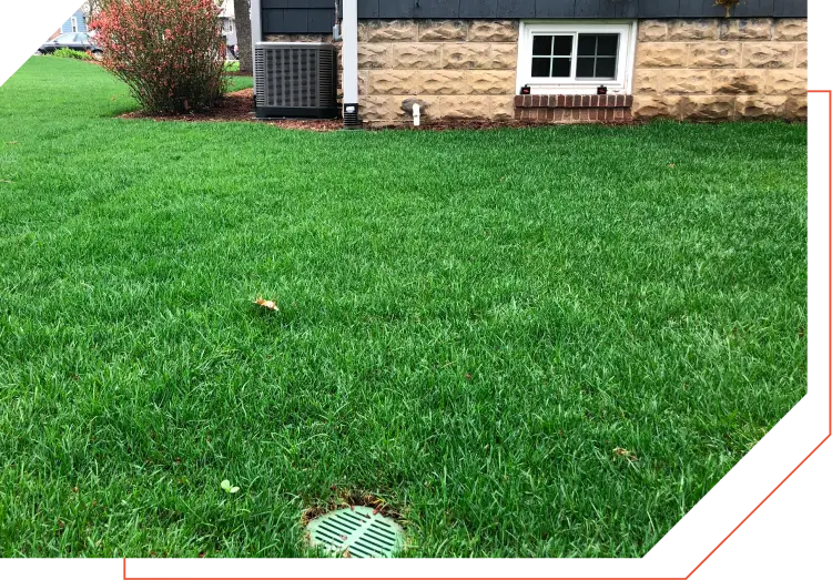 green grass patch installed by WareLandscaping