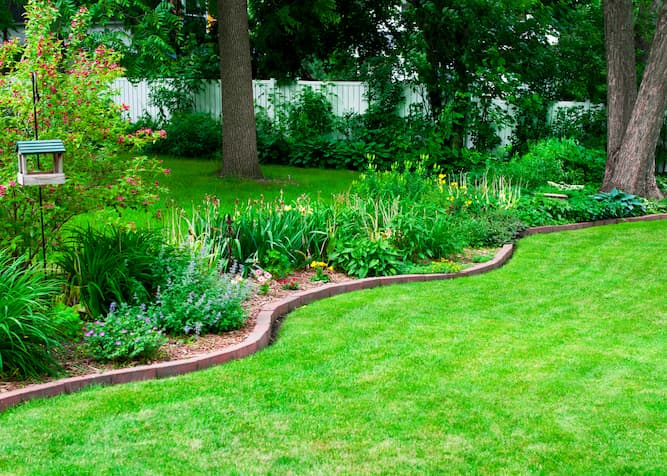 A professional drainage company ensures your yard and basement stay dry, preventing damage to your property and keeping your landscaping healthy.