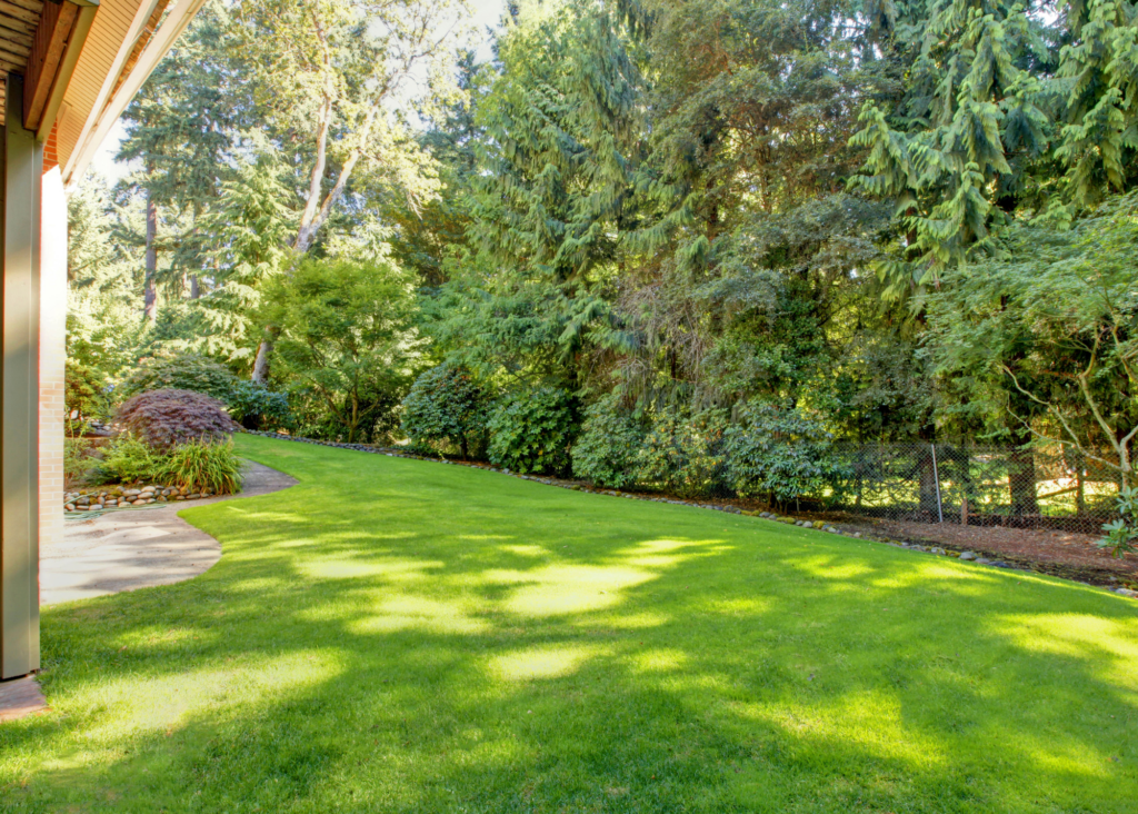 Ware Landscaping offers full-service spring cleanups to prepare your yard for the blooming season