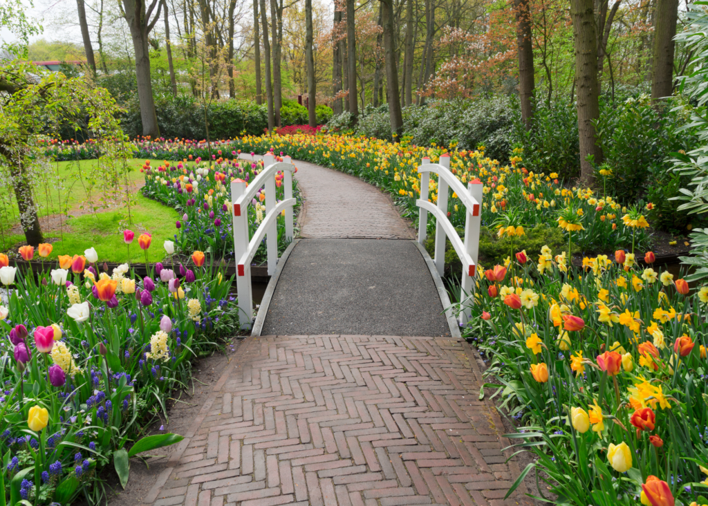 Custom landscape design with a mix of ornamental plants, stone accents, and modern outdoor seating.