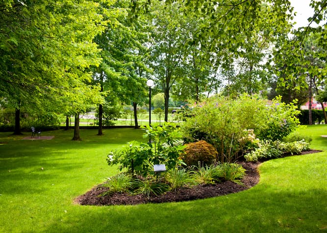 Lawn Maintenance