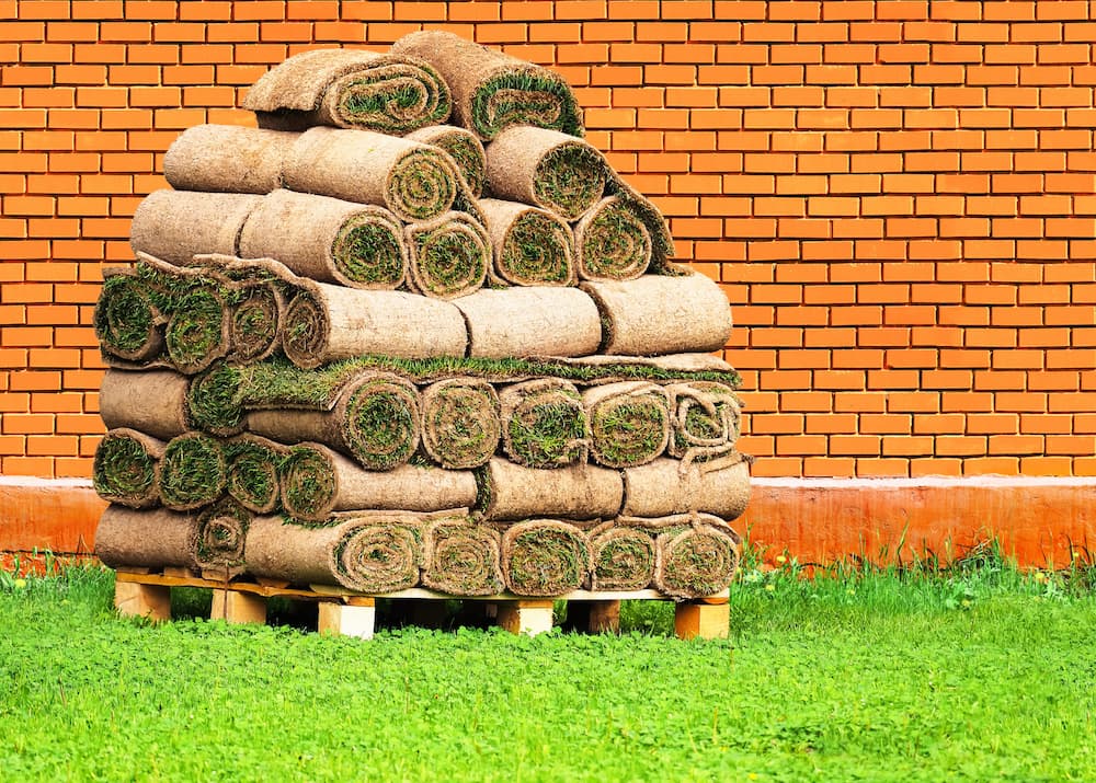 Local experts deliver perfect sod from the start.