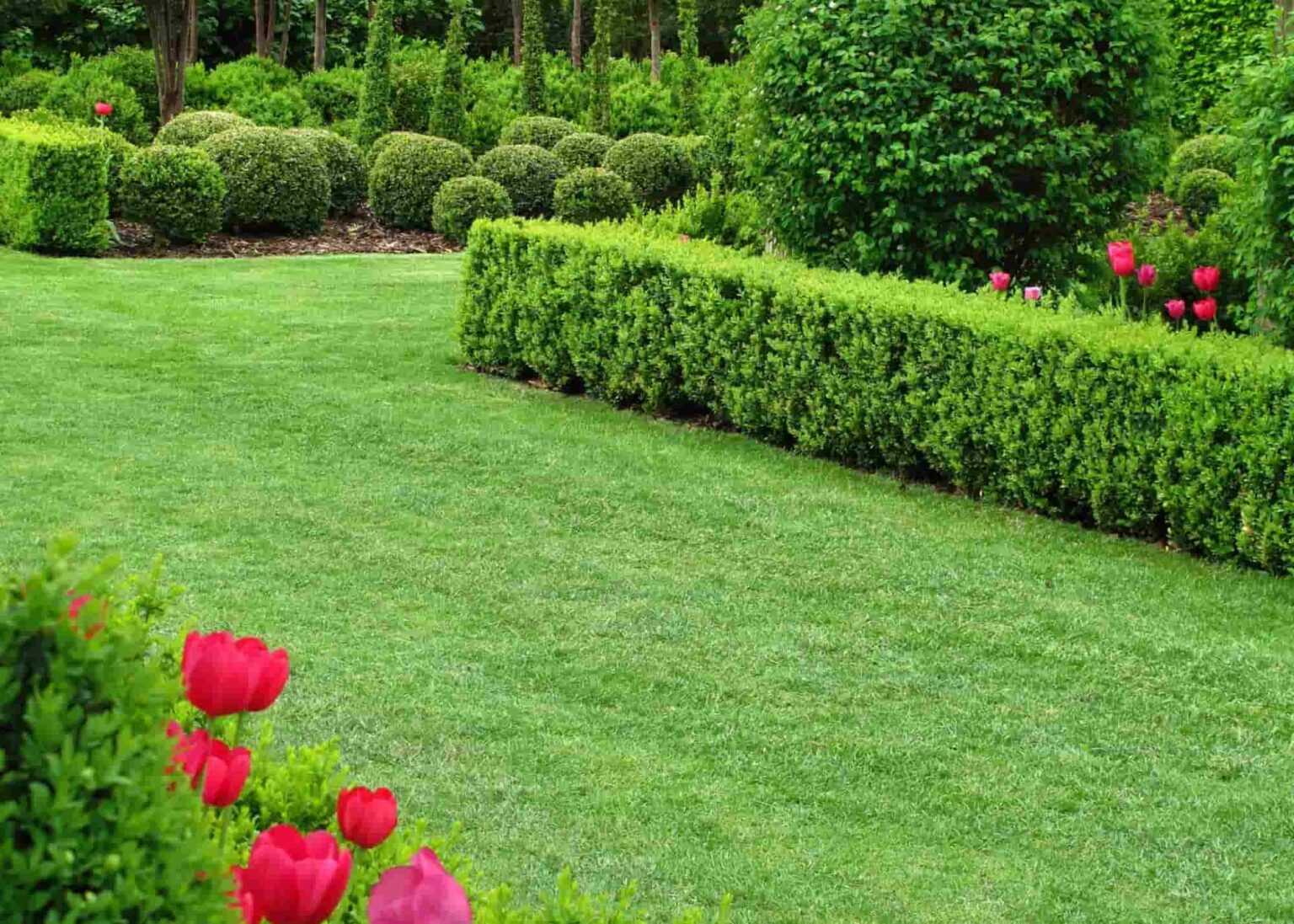 How Much Does a Garden Irrigation System Cost in 2026 - Ware Landscaping