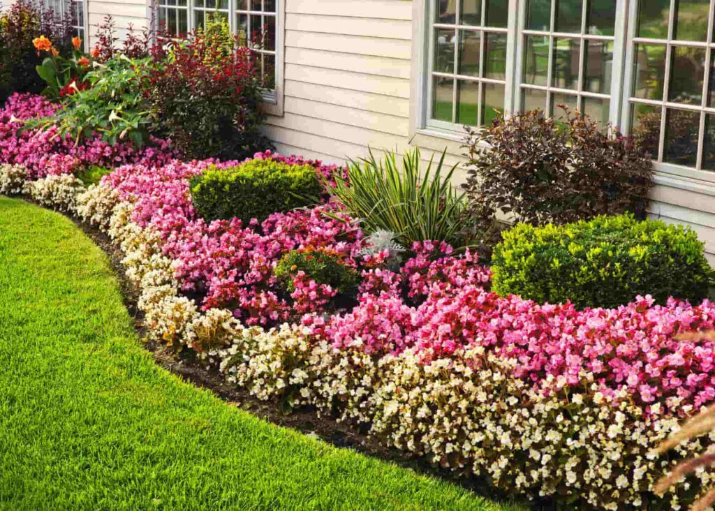 Freshly edged flowerbeds and trimmed shrubs after professional spring yard maintenance.