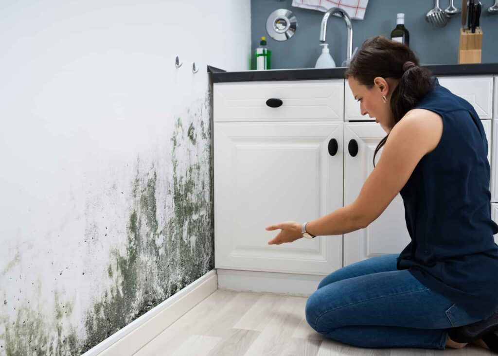Yard drainage issue linked to mold and mildew in the home