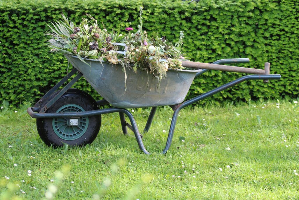 The Importance of Unique Lawn Maintenance