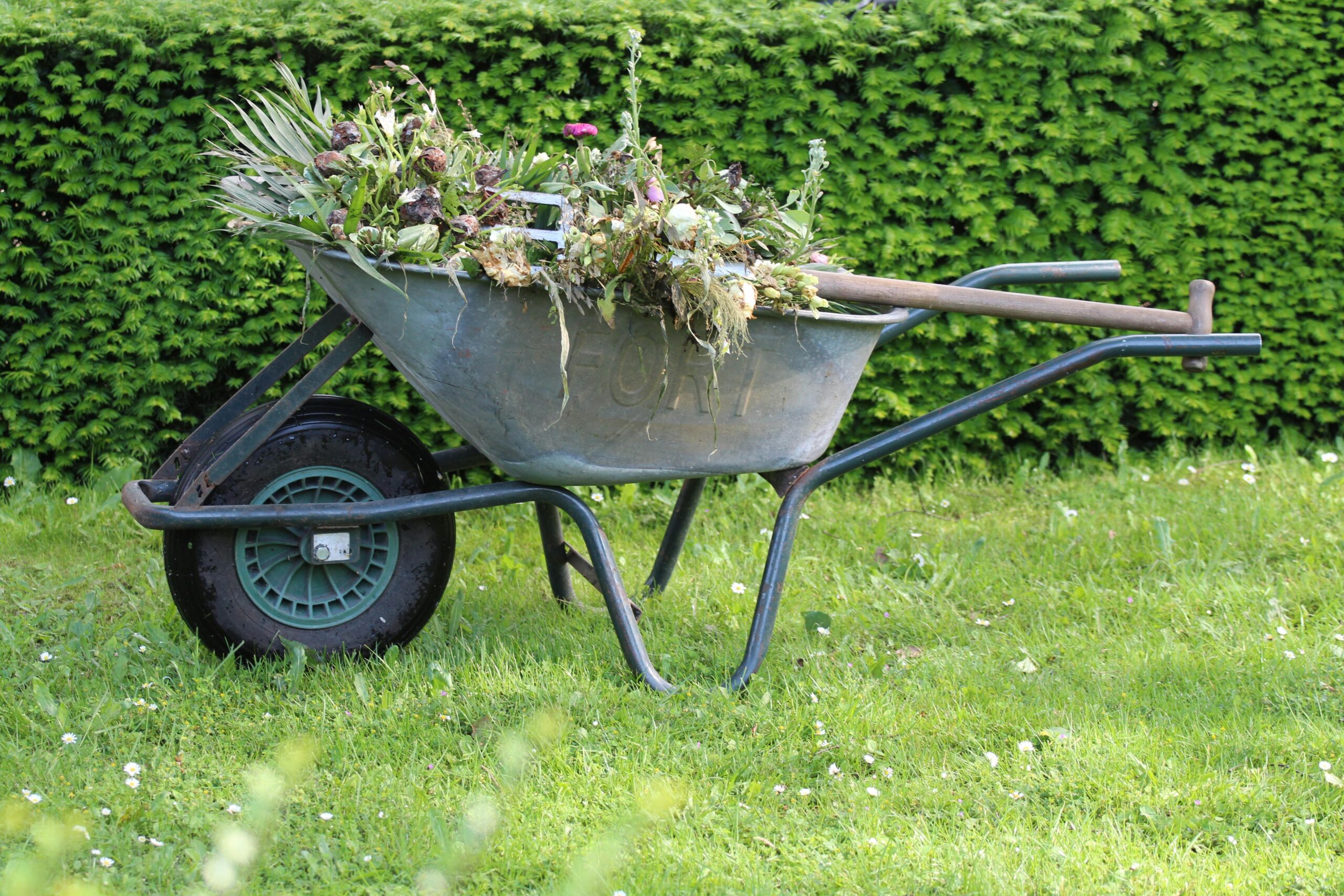The Importance of Unique Lawn Maintenance