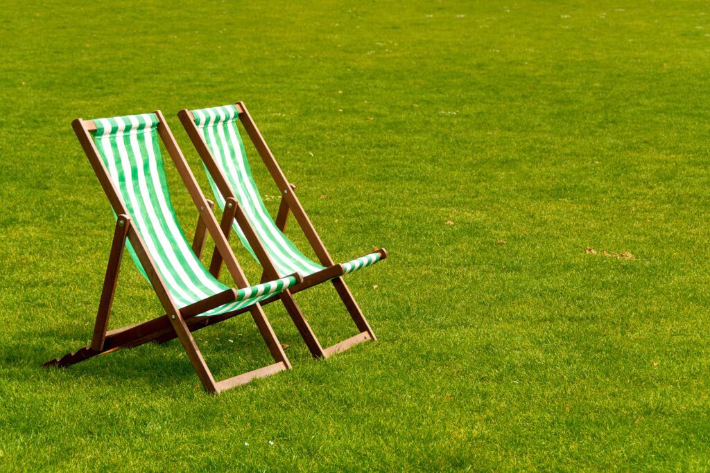 Best Lawn Grass for Summer