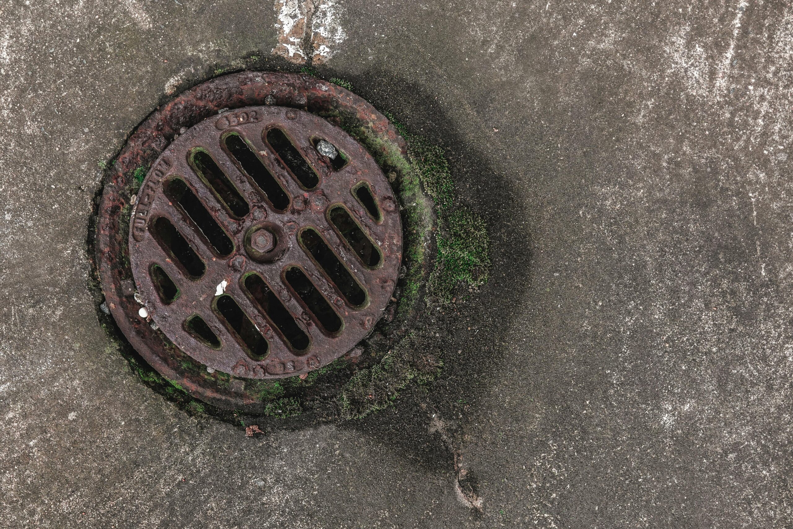 Mastering Yard Drain System Installation: Keep Your Landscape Dry and Beautiful
