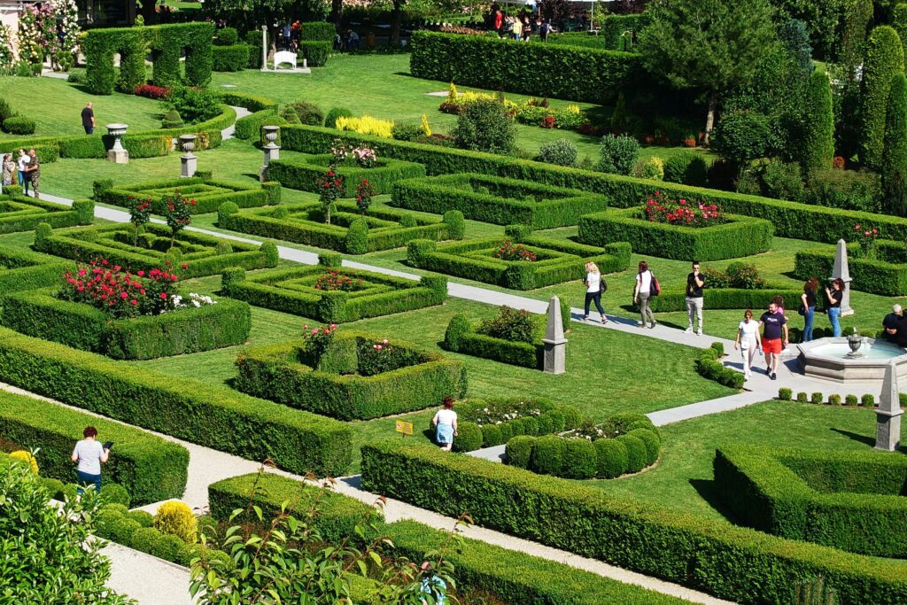 Easy Landscaping Ideas for Beginners: Transform Your Yard with Simple Tips