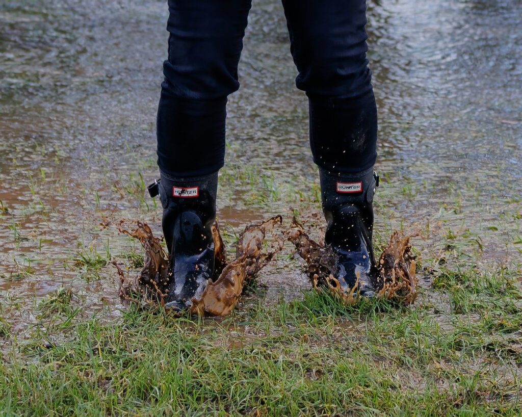 Soggy Lawn
