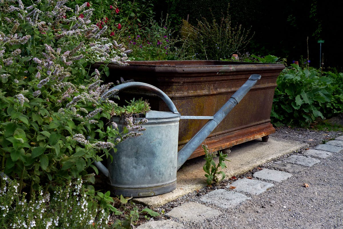 french drain