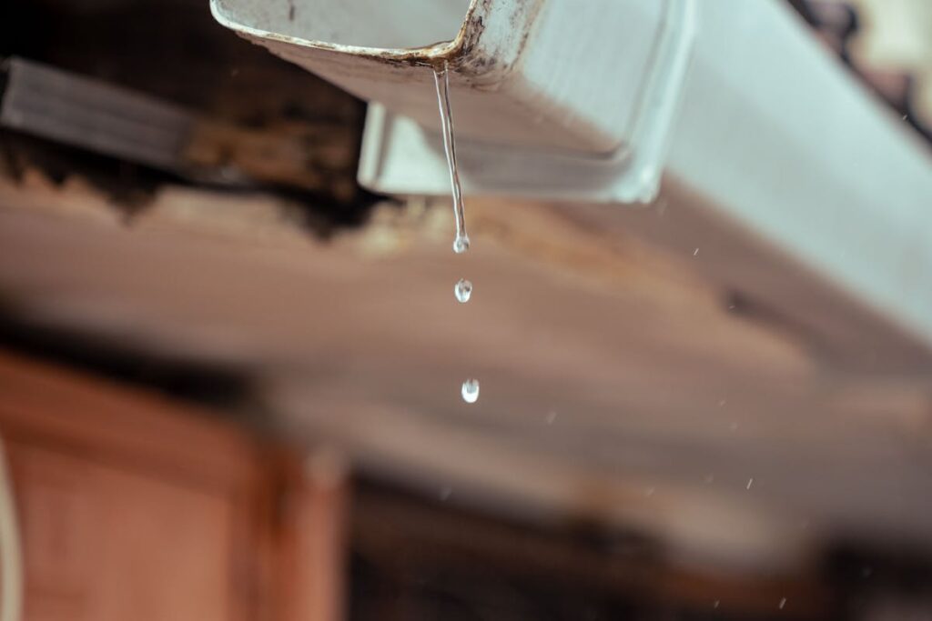 Downspout Drainage