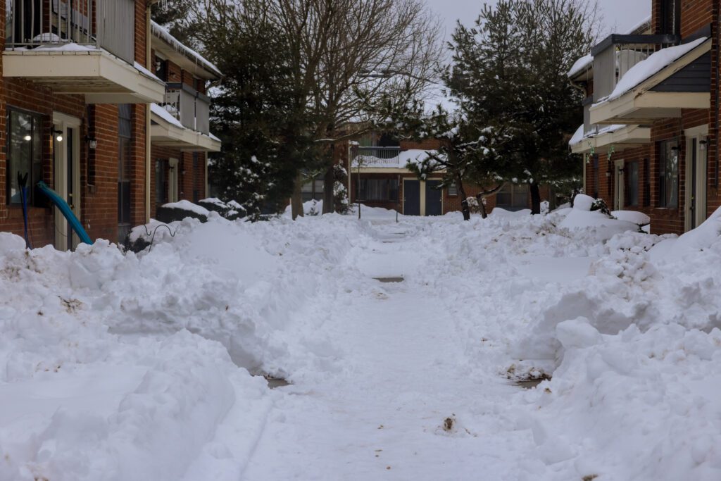 Compound filled with Snow.