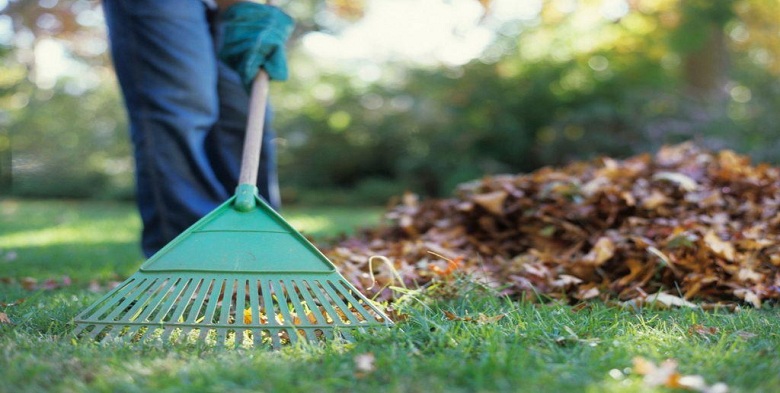 Spring Cleanup Tips for Your Yard and Outdoor Surfaces