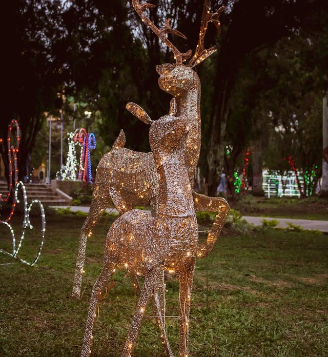 Professional Christmas Light Installation Cost
