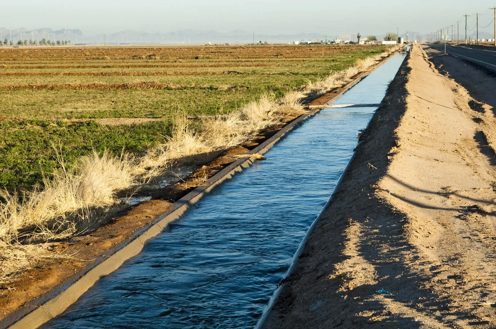 Irrigation and Drainage Working Together: Why Treating Them Separately Creates Bigger Problems