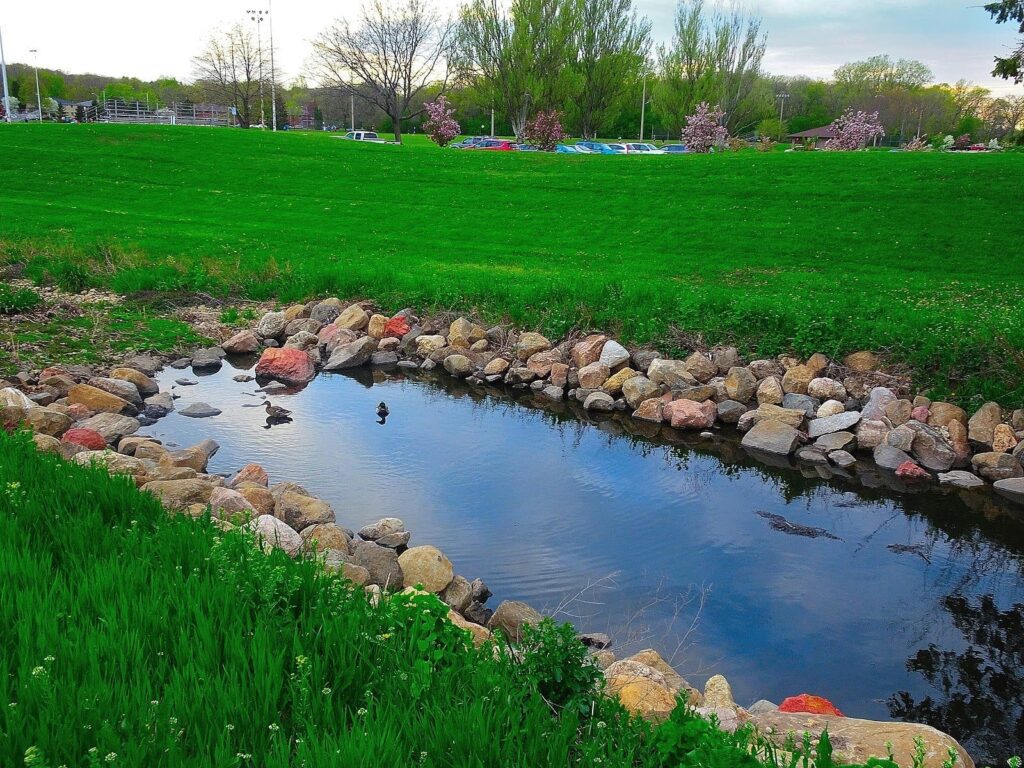 Rain Gardens | City of Bloomington MN, image size:1024x768