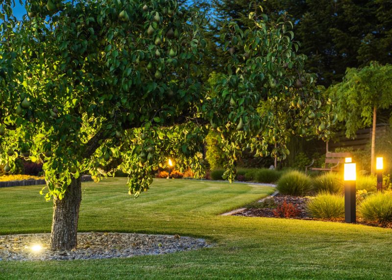 Hire professionals who can maintain and care for your landscape